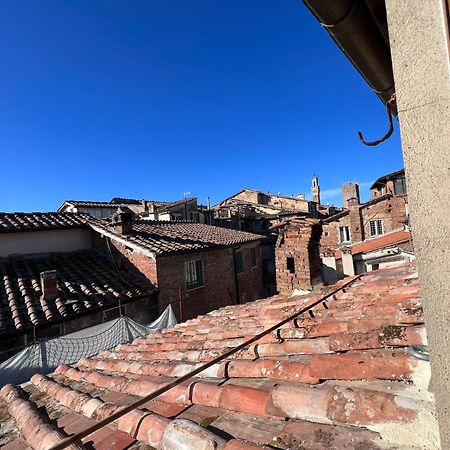Colibri Apartment Siena Bagian luar foto